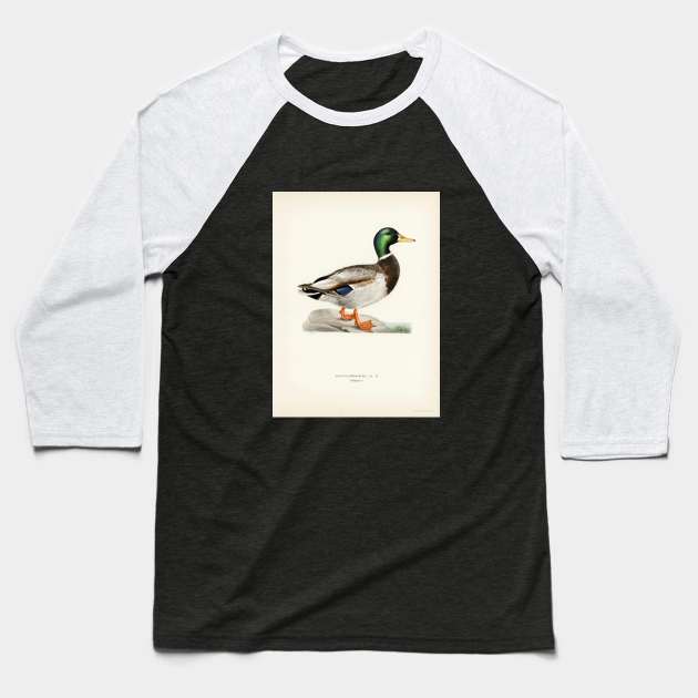 Mallard Baseball T-Shirt by Melty Shirts